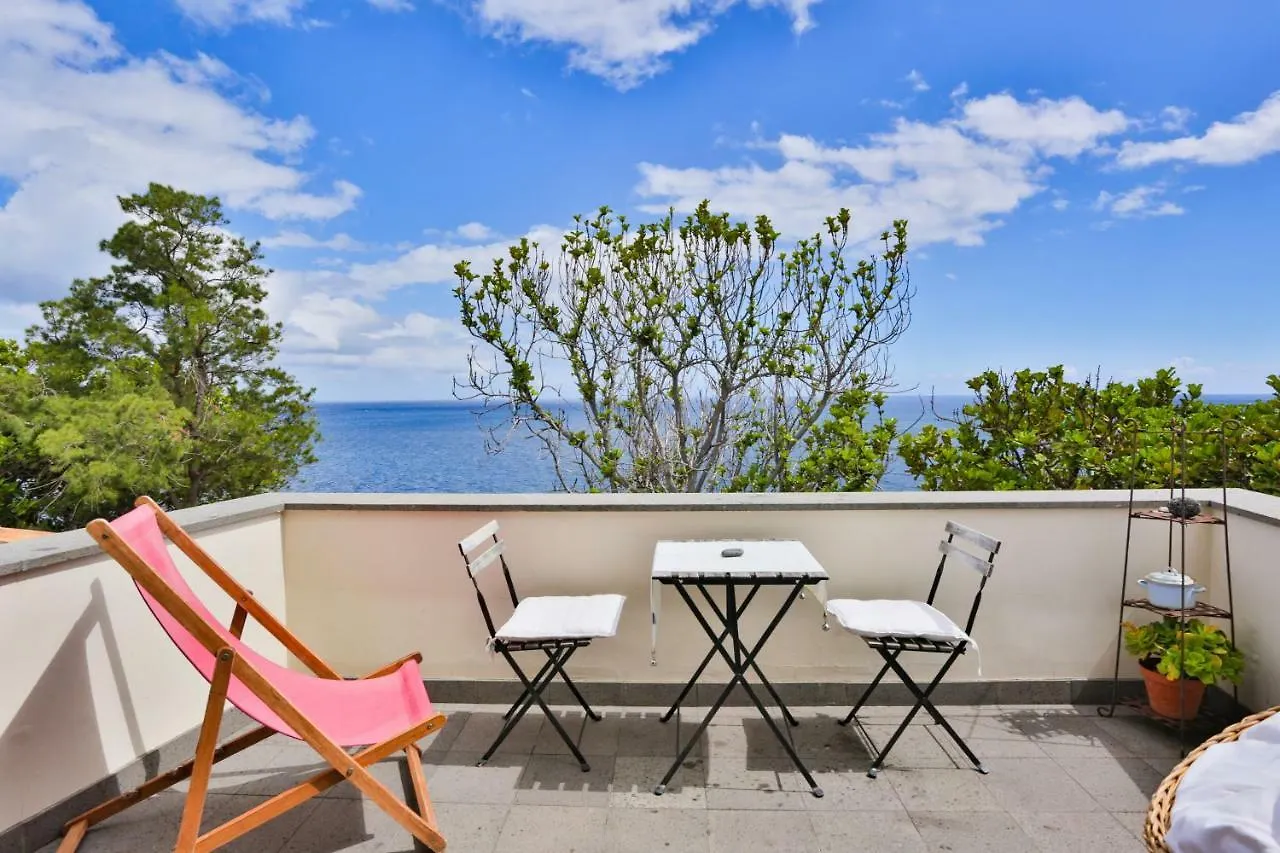 Old Town Penthouse - Barreirinha contacts